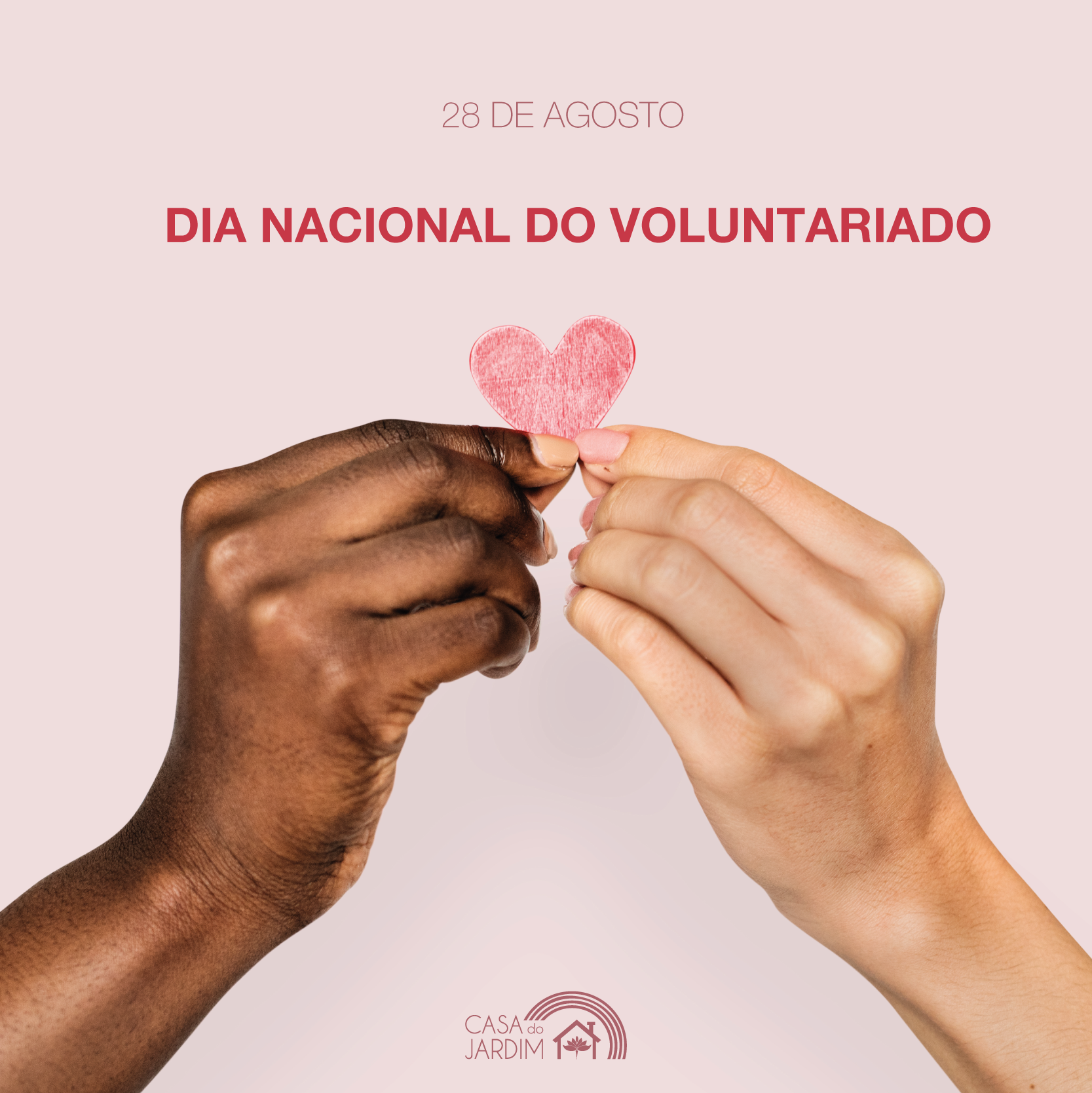 28 de agosto - Dia Nacional do Voluntariado - Organics News Brasil